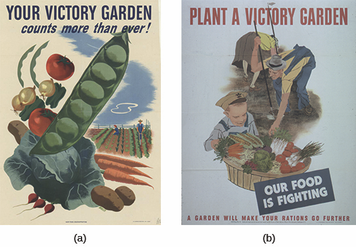 Figure 27.10 Wartime rationing meant that Americans had to do without many everyday items and learn to grow their own produce in order to allow the country’s food supply to go to the troops.