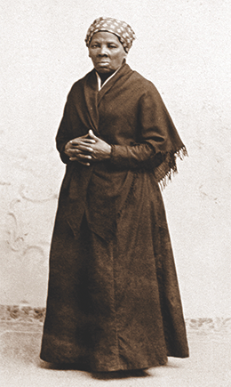 Figure 14.7 This full-length portrait of Harriet Tubman hangs in the National Portrait Gallery of the Smithsonian.